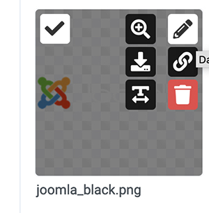 Bilder in Joomla 4 - Infos und Bearbeiten
